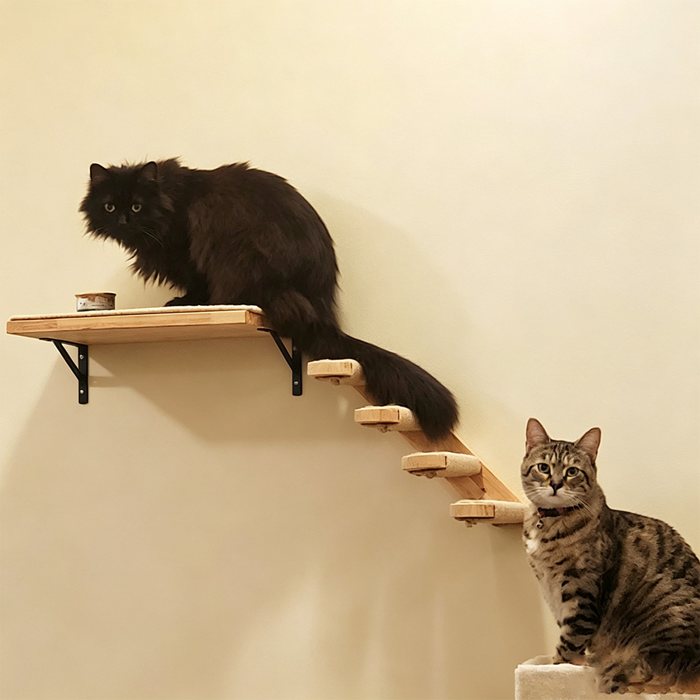 Kedi Mobilyası Masif Ahşap Asm - Furniture Paradise & Hardware Ghaziabad Reviews incelemesi ve fiyatı
