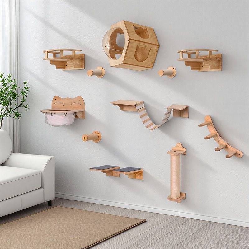 Kedi Mobilyası Masif Ahşap Asm - Furniture Paradise & Hardware Ghaziabad Reviews incelemesi ve fiyatı